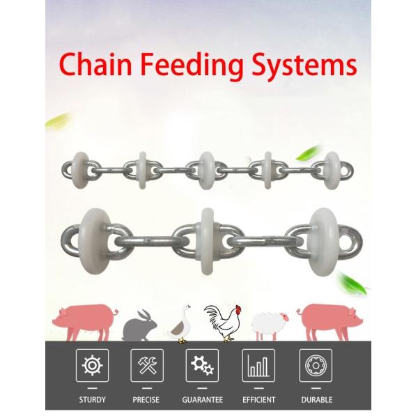 Livestock Farm Automatic Chain Disc Feeding Line