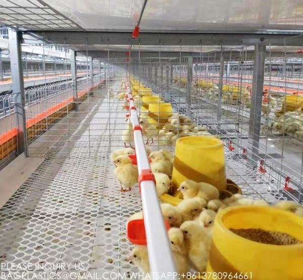 Poultry Farming Equipment Manufacturer 4 Tiers H Type Parent Chicken Battery Breeder Cage