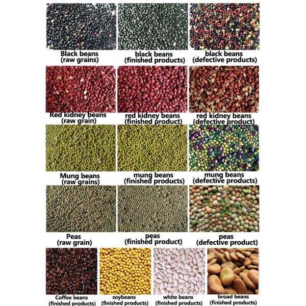 1200 mm de ancho Dos capas de pimienta Rojo máquina de clasificación de color chile Rojo máquina de clasificación de color chile