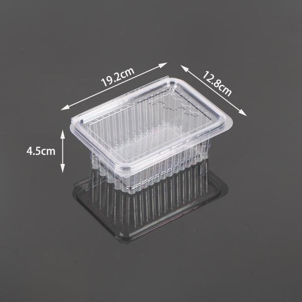 Hengmaster Food Grage Disposable Plastic Honeycomb Container Disposable PET Snack Tray