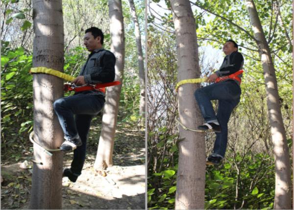 High-Strength Steel Pole Climbers with 105 KN Rated Load and 170 KN Test Load for Utility Work
