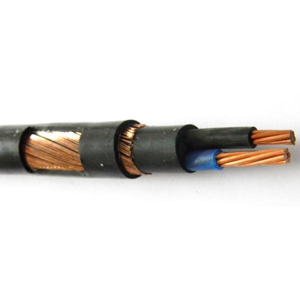 3 / 6 AWG Concentric Cable SER SEU Copper Conductor Cable For Service Entrance