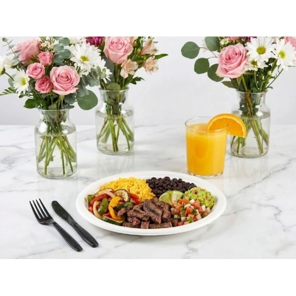 Commercial Disposable Bagasse Sugarcane Pulp Plates Tableware 9 Inch PFAS Free