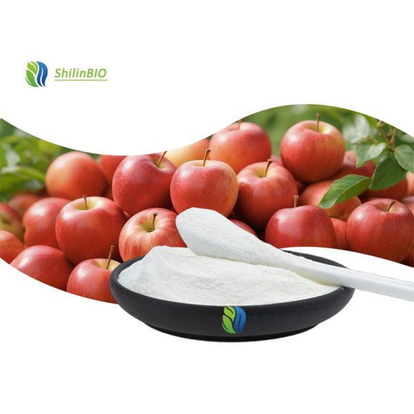 5% 10% Apple Extract  Apple Cider Vinegar Powder