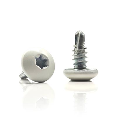 High Strength Self Tapping Screw With White Painted Torx Truss Head