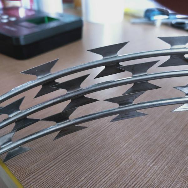 razor barbed wire   barbed wire with blades   razor wire coil
