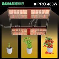 O diodo emissor de luz de AC277V 480w LM301H cresce hidropônico claro conduzido cresce ETL claro