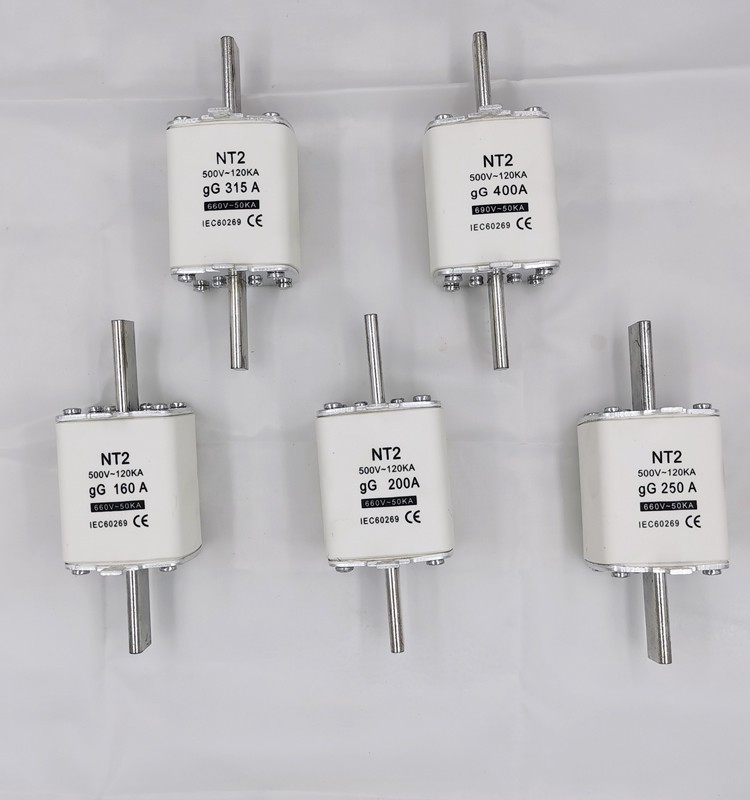 High Breaking Capacity HRC Ceramic Copper Blade Fuse Block Links 500V 120KA 200A NT2/NH2 Non-Indicating Fast Blow CE/TUV