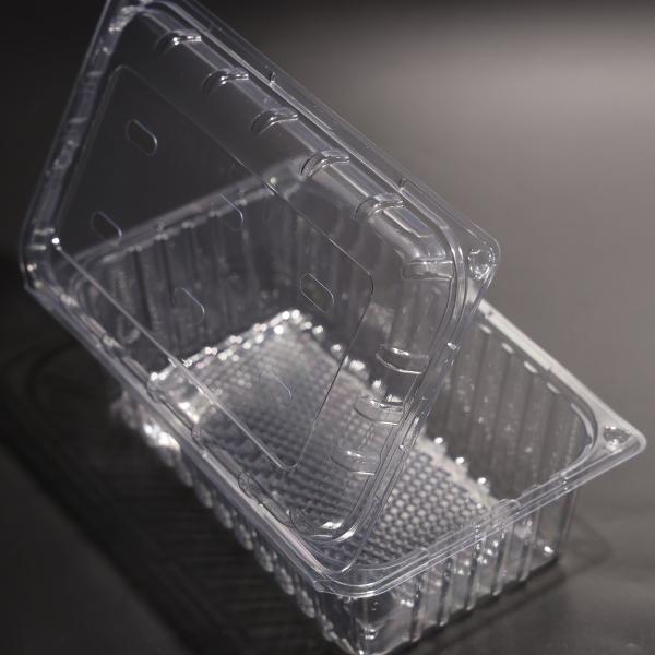 Contenedor de embalagem de alimentos de plástico descartável rectangular com tampa
