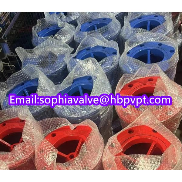 150lb ANSI stainless steel screen cast iron flanged foot valve