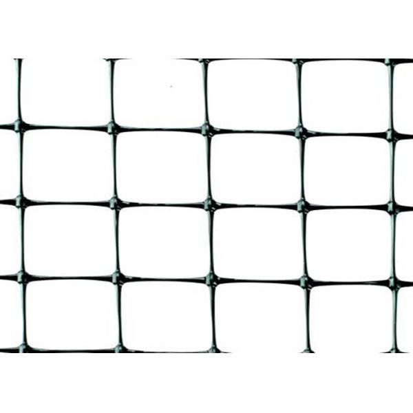 PP Plastic Knitted Anti Bird Netting , Bird Proof Garden Netting For Vineyard