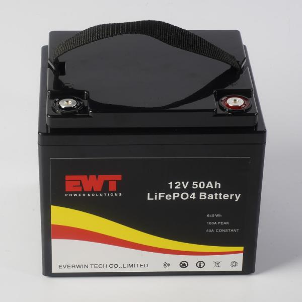 Custom Made 12V 50AH Lithium Iron Phosphate Battery Depends On You for Fast Shipping On Line