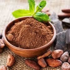 Ecuador Natural Organic Raw material Cocoa powder s9 fat10%-12% For baking ice cream and beverages