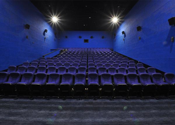 O cinema de dobramento de assentamento da densidade da espuma do teatro de couro luxuoso preside com pés da liga de alumínio