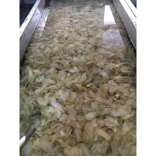 Hot Wholesale Factory Supply Good Quality Japanese White pink Pickled Sushi Ginger