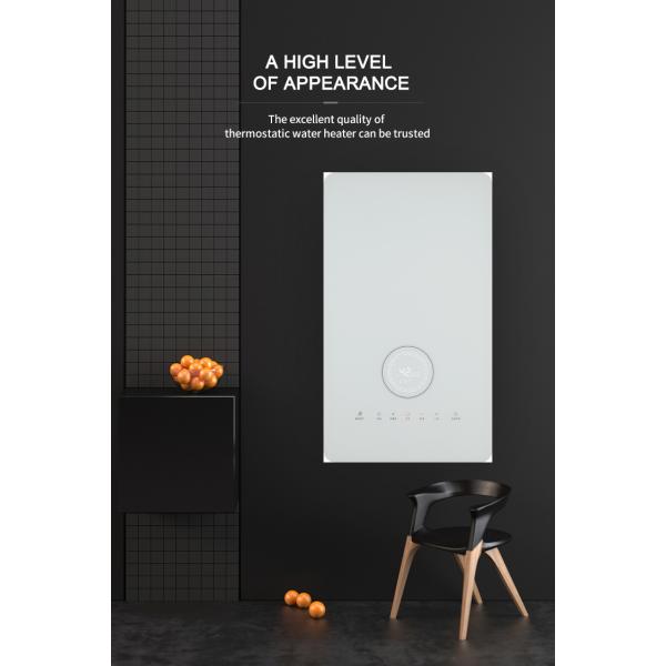 Adjustable Thermostat Gas Water Boiler Gas Powered Tankless Water Heater NG LPG Energy Saving