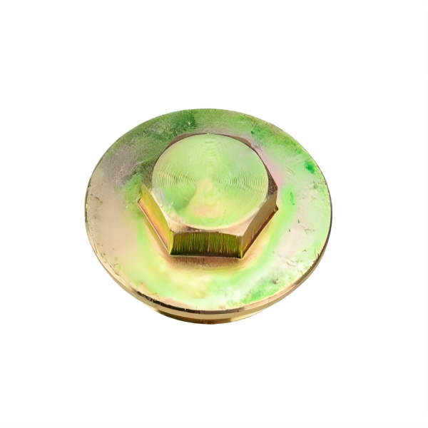 81.90310.0198 Engine Thread plugging For Shacman Truck Parts