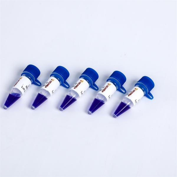 Nucleic Acid Dyes DNA Marker Electrophoresis For Pairing LD DS 2000 LM1101 LM1102