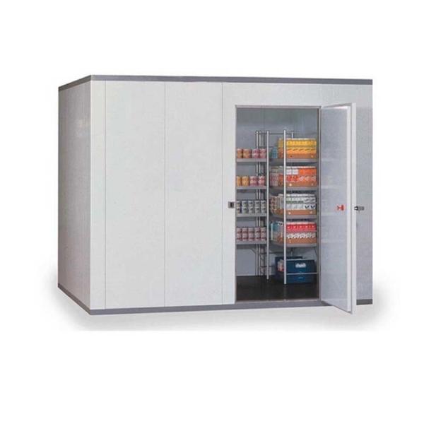 Recipiente de armazenamento da carne de R404a com construção da sala fria de Comercial do painel do plutônio