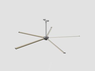 Large-capacity DYMFAN Ceiling Fans with Stepless Controller 1 Year Warranty
