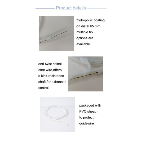 Zebra Nitinol Core Guidewire – Precision, Flexibility, and Durability for Advanced Interventional Procedures