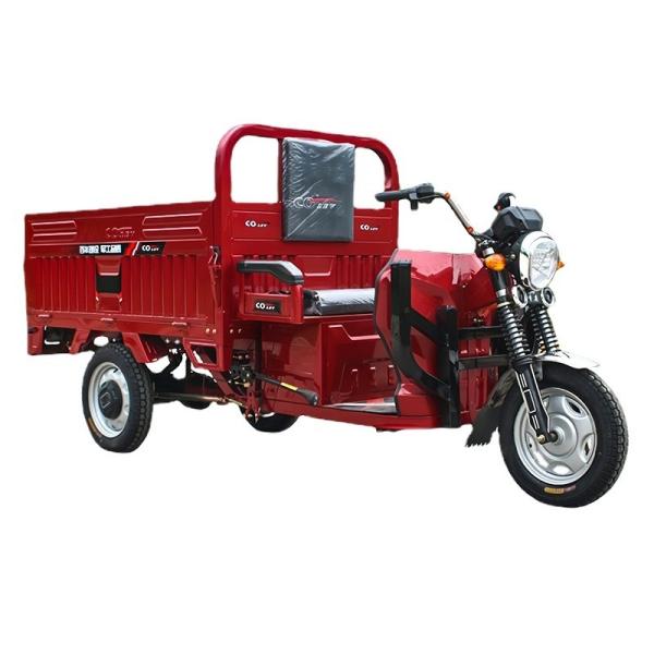 Solar Panel Electric Tricycle Adults with Max Speed 25-35km/h and 48v/60v-20A