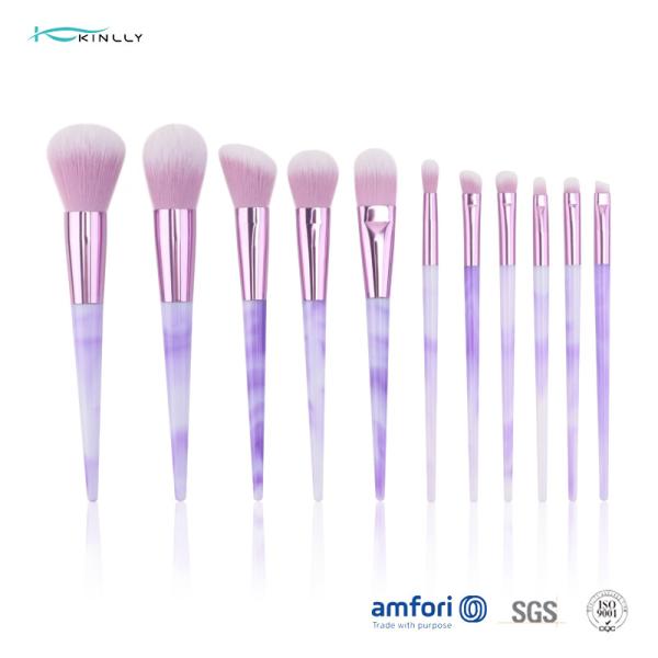 Brosse de lecture de la meilleure qualité de maquillage du sac 11pcs 100g d'unité centrale de BSCI
