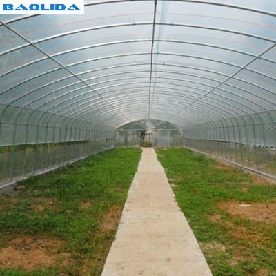 Apoio plástico da agricultura da exploração agrícola do polietileno da estufa do túnel do único período