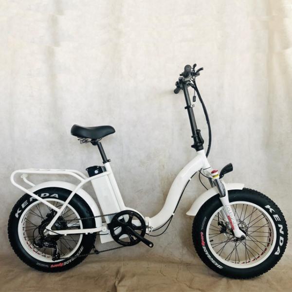 750W 1000W 48V Fat Tire 4.0
