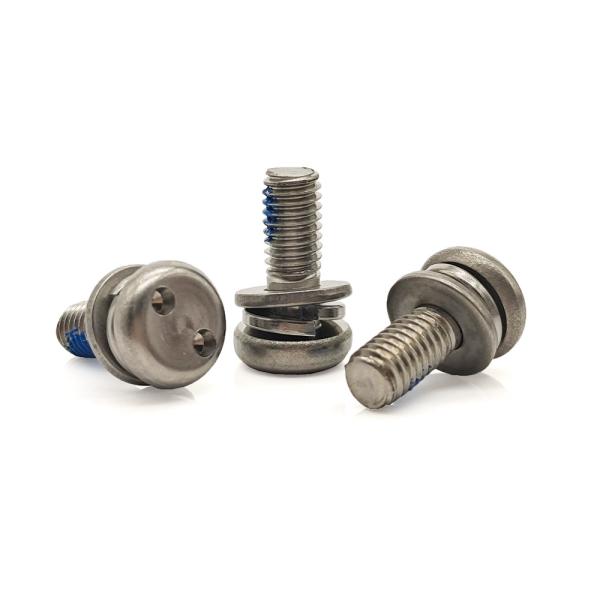 Stainless Steel Snake-Eye Security Screw – Double Spring & Flat Washers with Anti-Tamper Drive