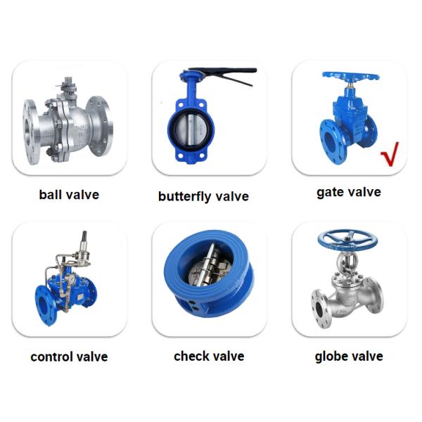 Rising Stem Dn40 Resilient Seat Gate Valve Ductile Iron Body 2cr13 Handwheel