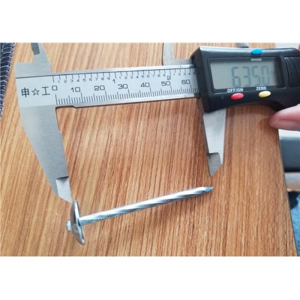 коробка 25kg гальванизировала переплетенные ногти толя зонтика