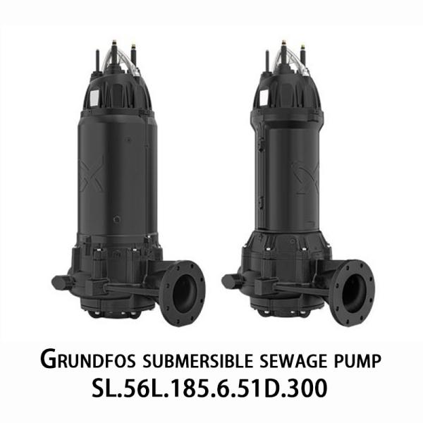 Le groupe Grundfos SL. 56L. 185.6.51d. 300 Pompe submersible pour le traitement et le rejet des eaux usées