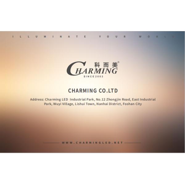 P1.25 P2 P2.5 Малый пиксельный пиксель Cob Led Screen Fine Pitch Direct View Led Displays для рекламы