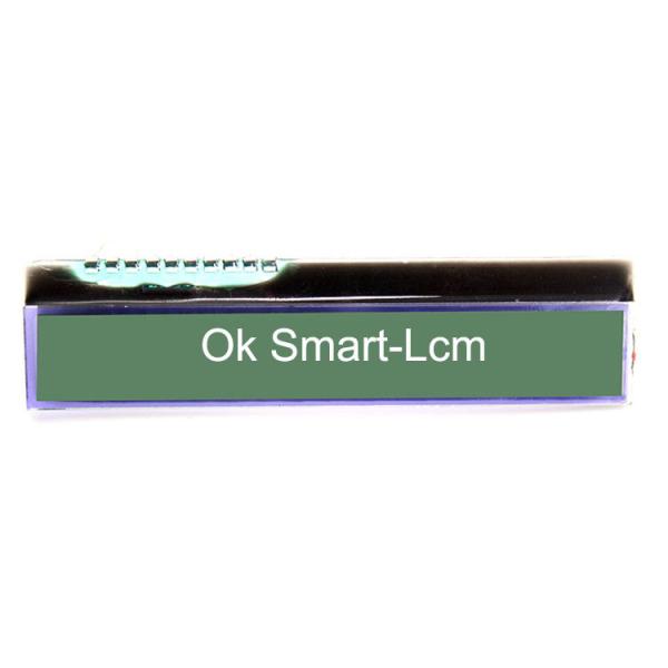 STN Yellow Green Transflective Lcd Module / 20x2 Lcd Display