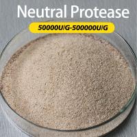 Subtilisines Enzymes protéolytiques 50000U/G-500000U/G Pour le peptide protéique