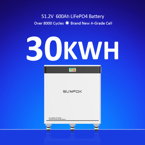 Wholesale 51.2v 600ah Lifepo4 Battery 30kwh Battery Lithium Solar Battery Energy Storage 600ah 300a Bms 48v/51.2v for Home Use