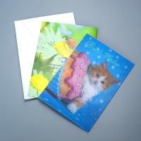 Factory Hot Sale Custom Kpop 3D Lenticular Printing Postcard/ Business Card
