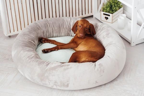 Calming Dog Bed 80cm 100cm Donut Cat Bed Covered Dog Bed Anxiety Dog Mattress Bed