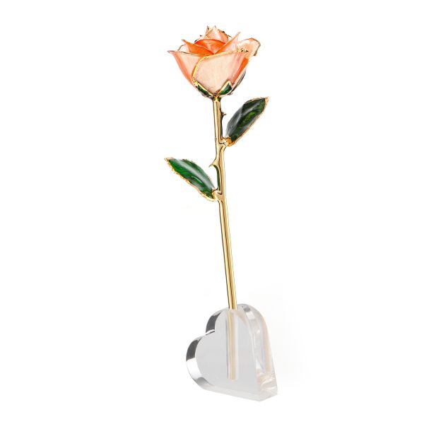 24k Gold Plated  Rose  Preserved Fresh Flower  Wholesale Preserved Rose Manufacture Directly Supply