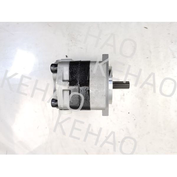 PVSD2-21 Hydraulic Gear Pump Iron and Aluminum alloy materials  Range for Construction Machinery Factory Supply Hydraulic Parts Customize