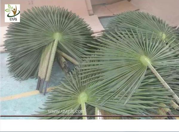 UVG material uv fake palm fronds in silk leaves for outdoor watertown landscaping PTR042