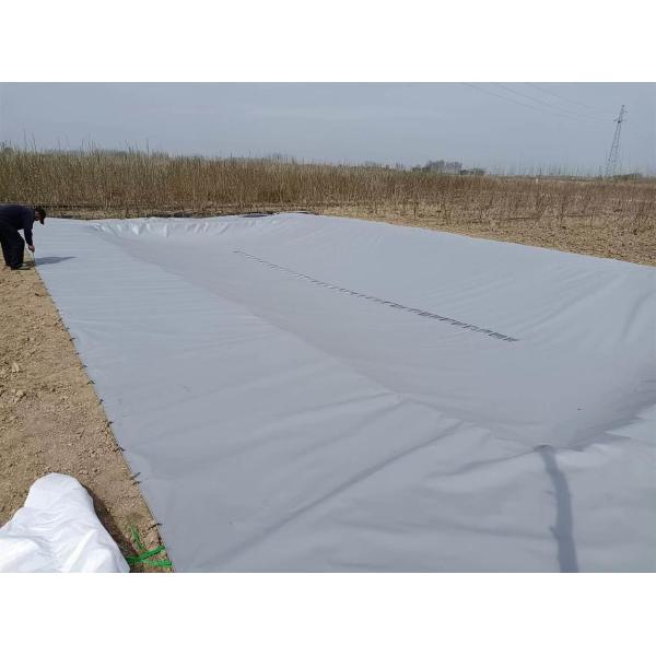 Réservoir de collecte d'eau de pluie en bâches en PVC écologique pour l'agriculture