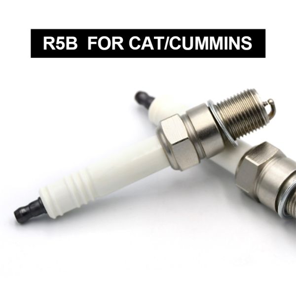 Industrial Spark Plug R5B12-77 with Gasket Seat Type J Gap Industrial Electrode and Resistor