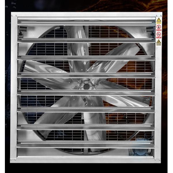 DHF belt type heavy duty industrial exhaust fan price greenhouse factory exhaust fan for industrial use supplier