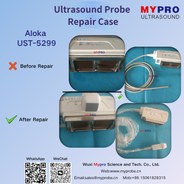 Phased Array Aloka UST-5299 Original Used Ultrasound Probe Replacement And Repair