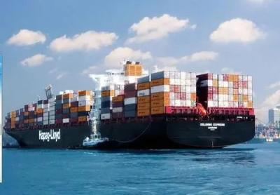 Worldwide Logistics Warehousing Service In Qingdao Port