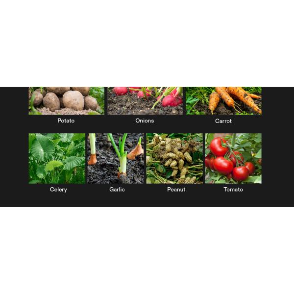 Nursery Growing Bags Large, 7.8x8.6 inches Biodegradable Fabric Seedling Grow Bag, Seed Starting Pots Pouches