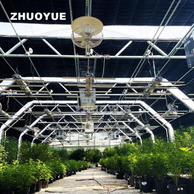 Mushroom Light Deprivation Greenhouse With Hot Dip Galvanized Steel Pipe