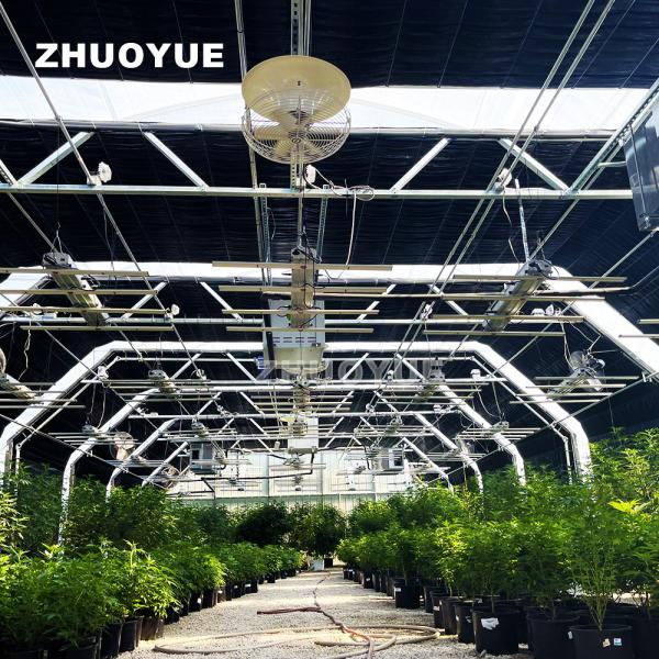 Mushroom Light Deprivation Greenhouse With Hot Dip Galvanized Steel Pipe